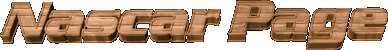 nascarhead.gif (5035 bytes)